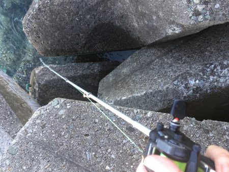 撒き餌しながら穴釣り